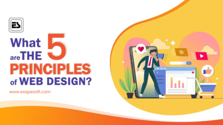 What are the 5 Principles of Web Design